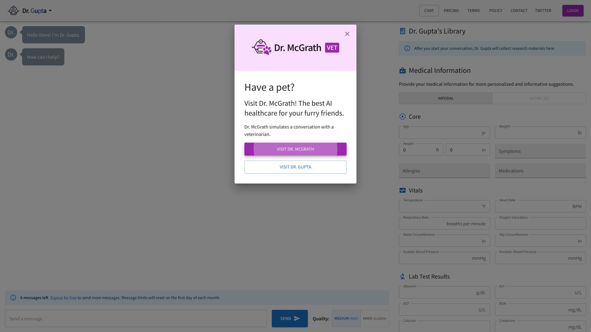 Dr. Gupta: AI Physician Chatbot image