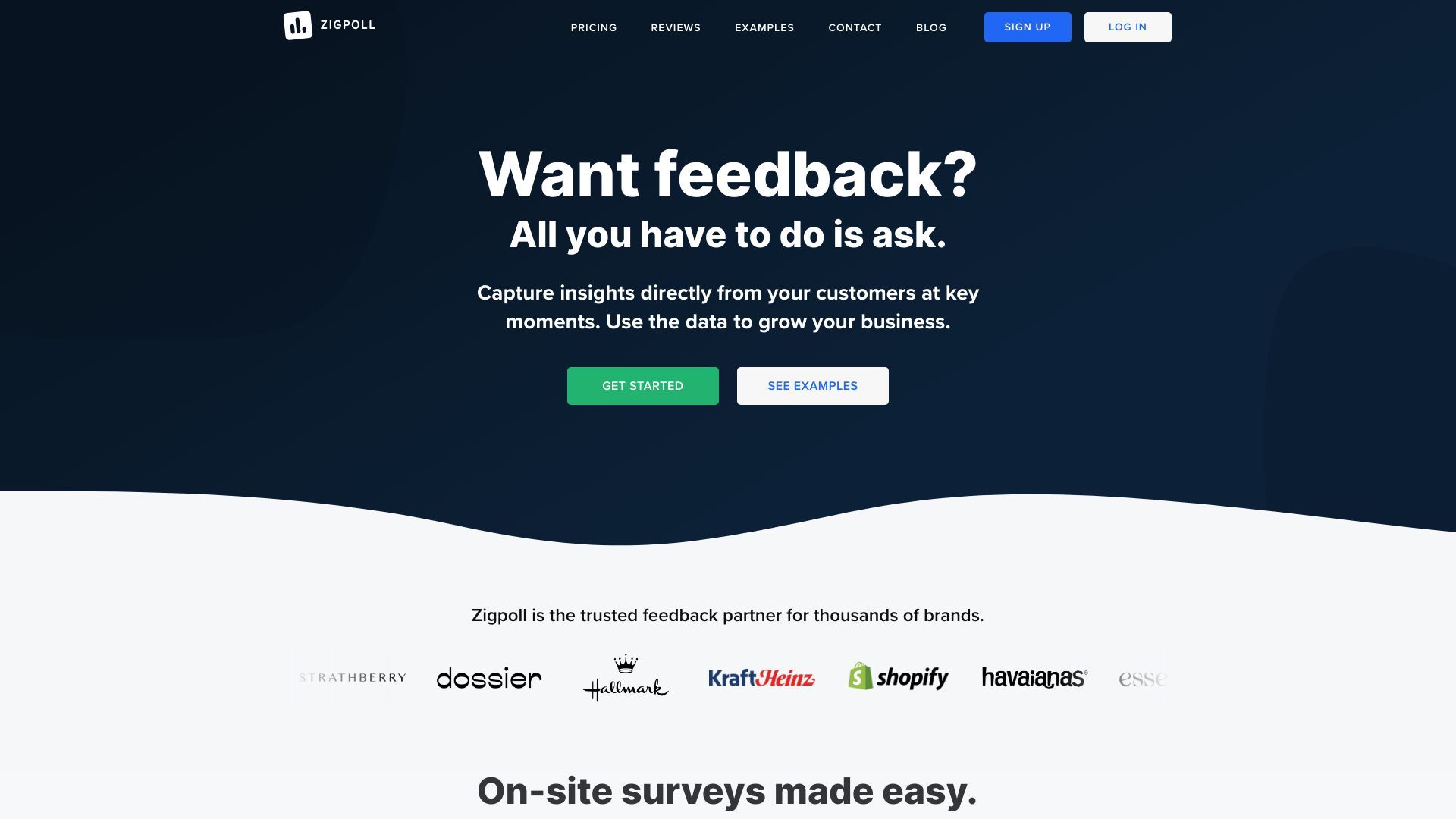 Zigpoll - Survey & Feedback Platform image