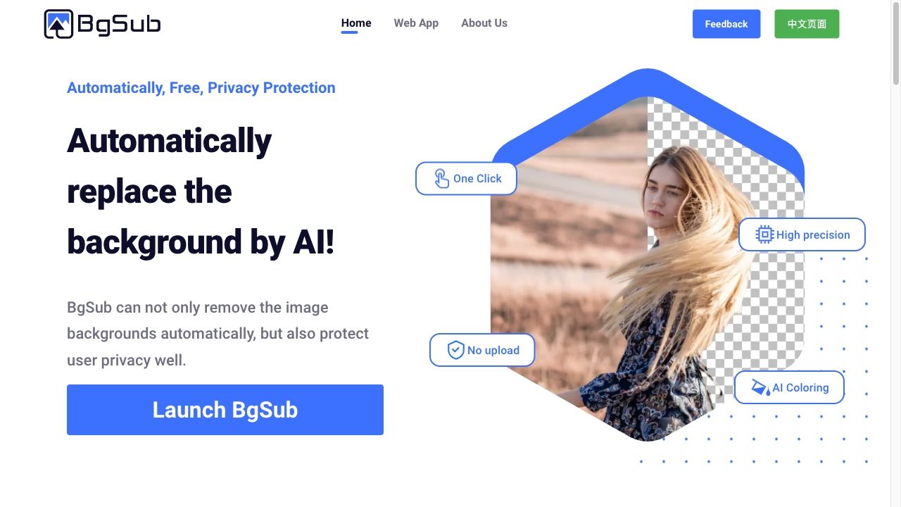 BgSub image