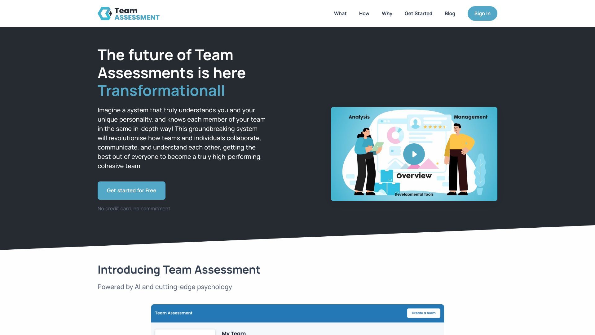 Team Assessment image