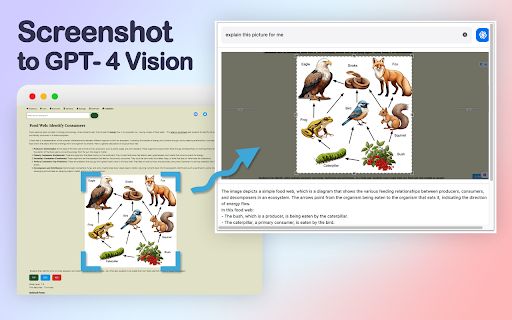 GPT-4 Vision Screenshot image