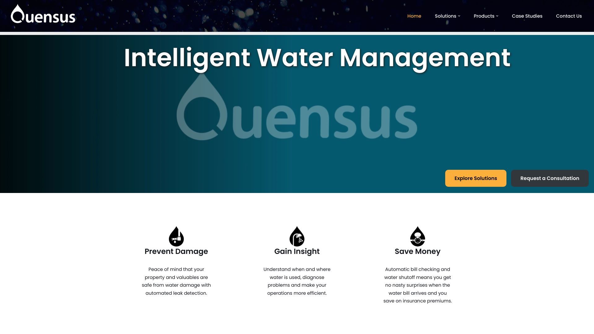 Quensus image