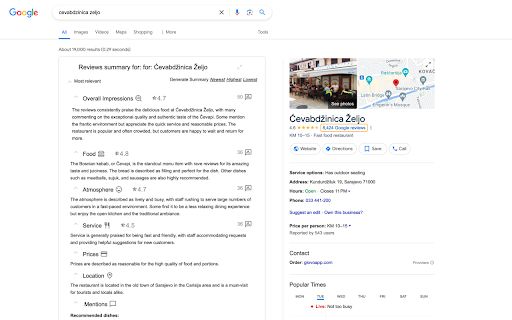 AI-Powered Google Reviews Summarizer image