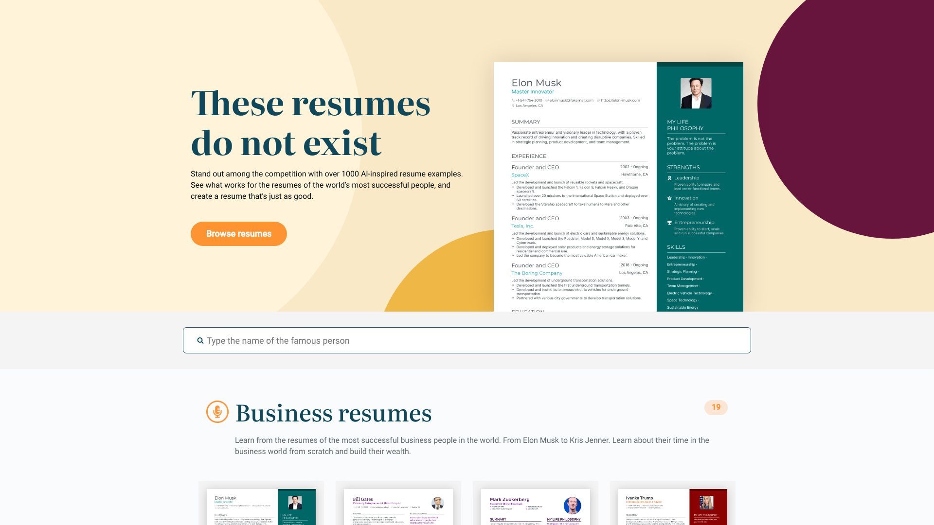 This Resume Does Not Exist image