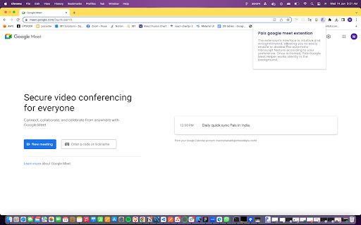 Pals Google Meet Helper image