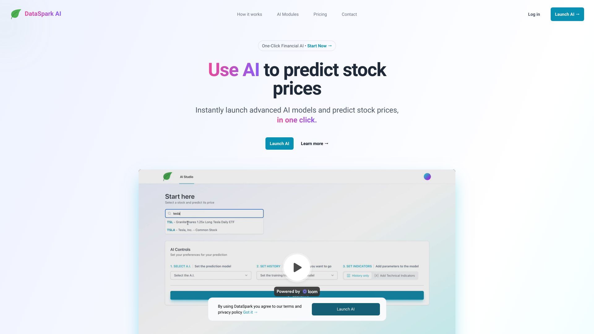 DataSpark Financial & ESG AI Platform image