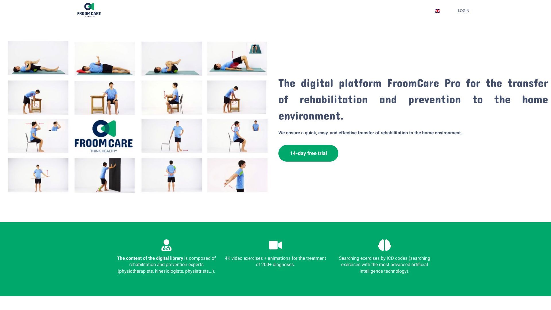 FroomCare Pro image