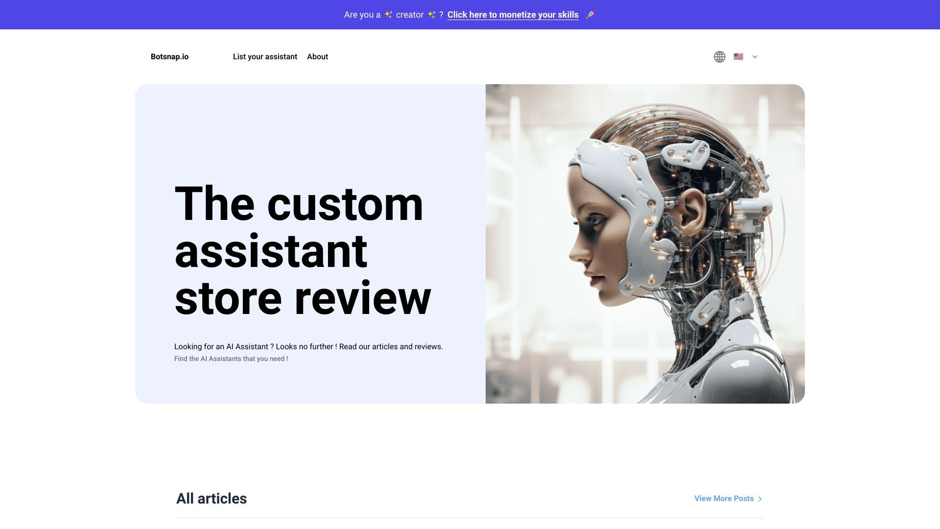 Botsnap.io image