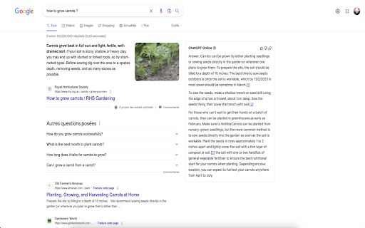 ChatGPT Online for Google image