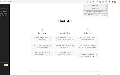 ChatGPT Content Extractor image